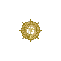 Irish Defence Force
